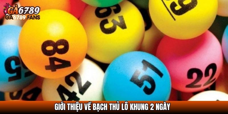 Giới thiệu về bạch thủ lô khung 2 ngày