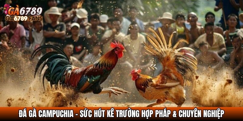 da ga campuchia
