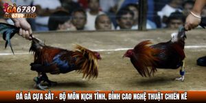 da ga cua sat