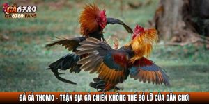 da ga thomo