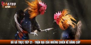 da ga truc tiep c1