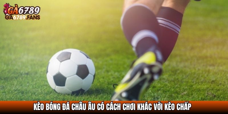 Kèo Châu Âu Là Gì? Mẹo Đọc Và Bí Quyết Bắt Kèo Hiệu Quả Cao 3 Kèo bóng đá châu Âu có cách chơi khác với kèo chấp