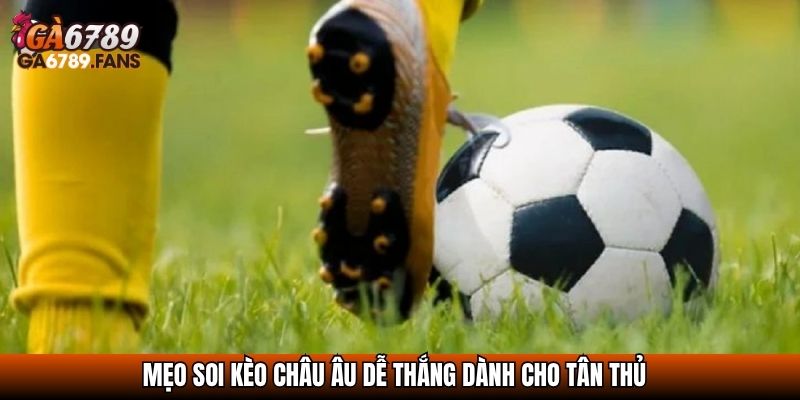 Kèo Châu Âu Là Gì? Mẹo Đọc Và Bí Quyết Bắt Kèo Hiệu Quả Cao 4 Mẹo soi kèo châu Âu dễ thắng dành cho tân thủ