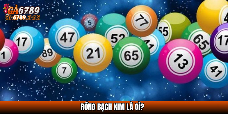 Rồng bạch kim là gì?