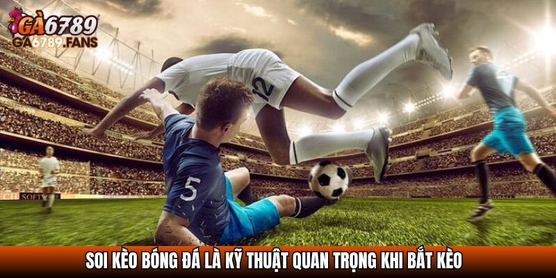 Soi kèo bóng đá là kỹ thuật quan trọng khi bắt kèo