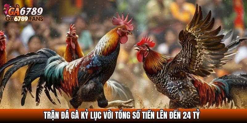 Trận Đá Gà 24 Tỷ - Sự Kiện Lịch Sử Chấn Động Giới Chọi Gà 2 Trận đá gà kỷ lục với tổng số tiền lên đến 24 tỷ