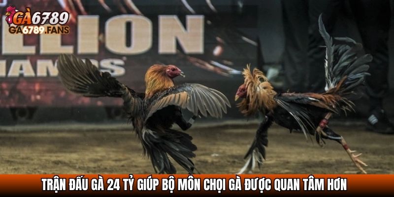 Trận Đá Gà 24 Tỷ - Sự Kiện Lịch Sử Chấn Động Giới Chọi Gà 4 Trận đấu gà 24 tỷ giúp bộ môn chọi gà được quan tâm hơn