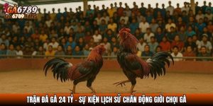 tran da ga 24 ty