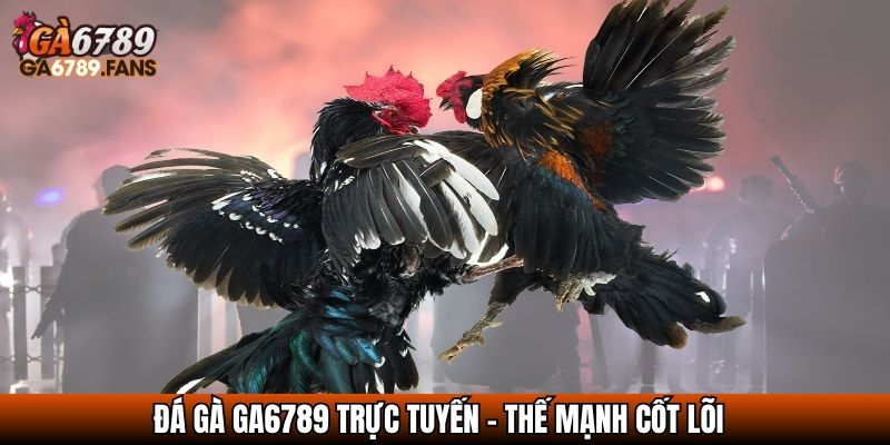Đá gà GA6789 trực tuyến - Thế mạnh cốt lõi