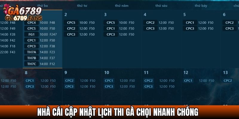 Nhà cái cập nhật lịch thi gà chọi nhanh chóng