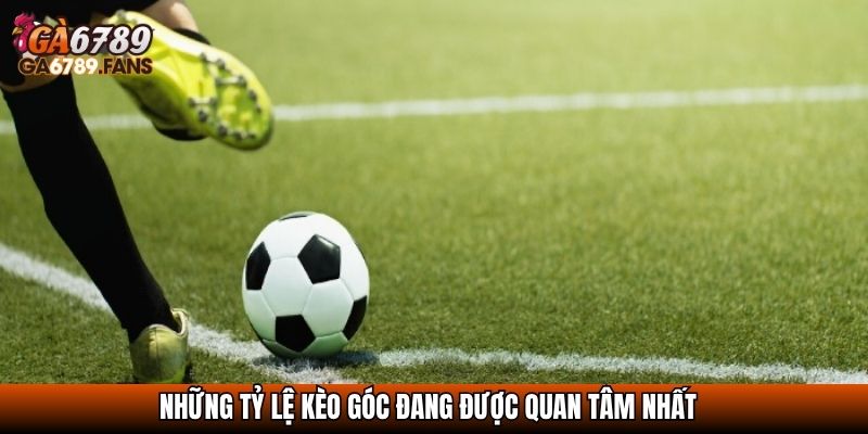 Tỷ Lệ Kèo Góc Nhà Cái - Cách Hiểu Đúng Để Đặt Cược Hiệu Quả 2 Những tỷ lệ kèo góc đang được quan tâm nhất