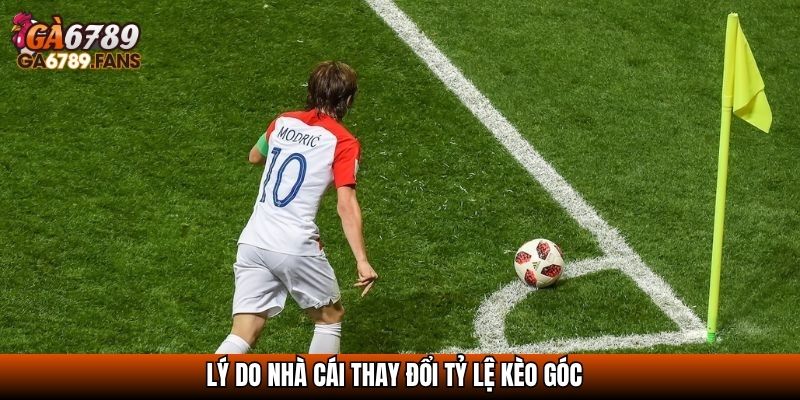 Tỷ Lệ Kèo Góc Nhà Cái - Cách Hiểu Đúng Để Đặt Cược Hiệu Quả 3 Lý do nhà cái thay đổi tỷ lệ kèo góc