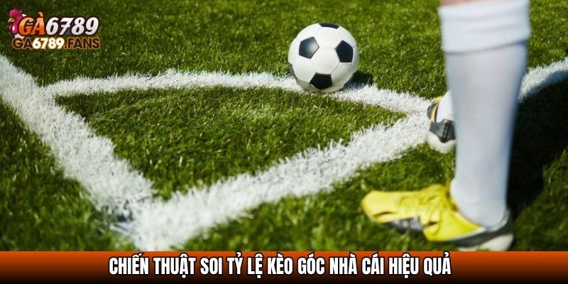 Tỷ Lệ Kèo Góc Nhà Cái - Cách Hiểu Đúng Để Đặt Cược Hiệu Quả 4 Chiến thuật soi tỷ lệ kèo góc nhà cái hiệu quả