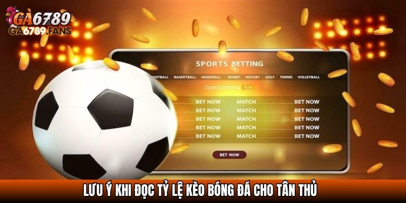 Tỷ Lệ Kèo Nhà Cái - Cách Đọc Và Kinh Nghiệm Phân Tích Chuẩn 3 Lưu ý khi đọc tỷ lệ kèo bóng đá cho tân thủ